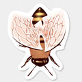 Honey Sticker