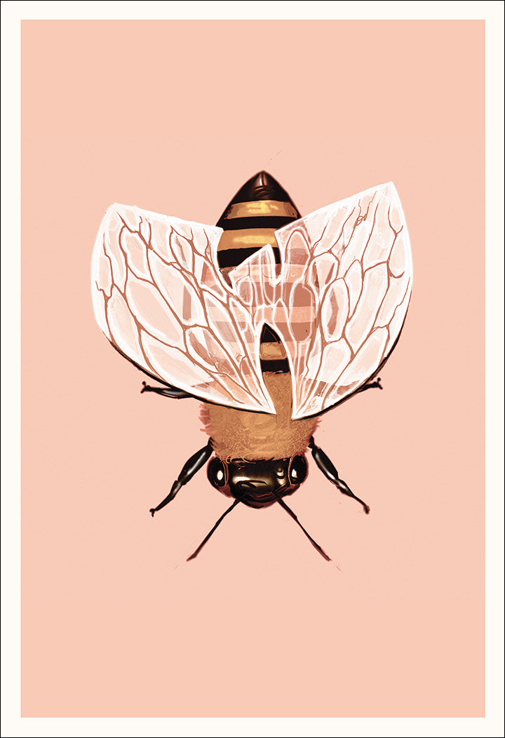 Honey 13" x 19" Print